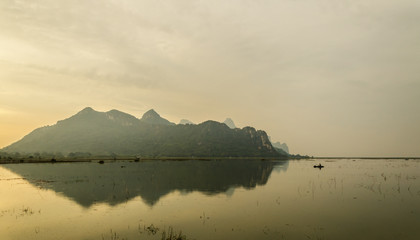 家中栽什么树旺财 3种镇宅又旺财的树