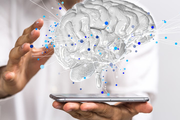 大海的儿童绘本