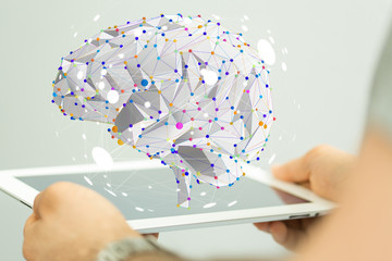 家中栽什么树旺财 3种镇宅又旺财的树