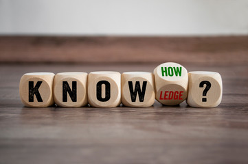 大海的儿童绘本