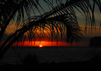 寒露节气养生常识有哪些-