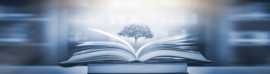 安全生产月专题片观后感心得感想5篇