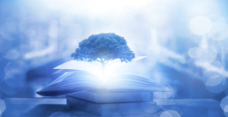 上大这5个特殊专业的介绍