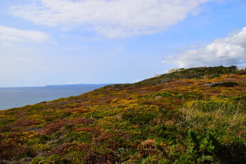 安全生产月专题片观后感心得感想5篇