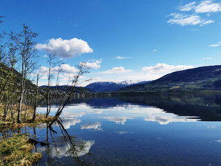 大海的儿童绘本