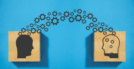 兔子用英语怎么说