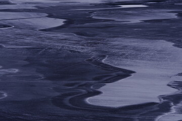 家中栽什么树旺财 3种镇宅又旺财的树