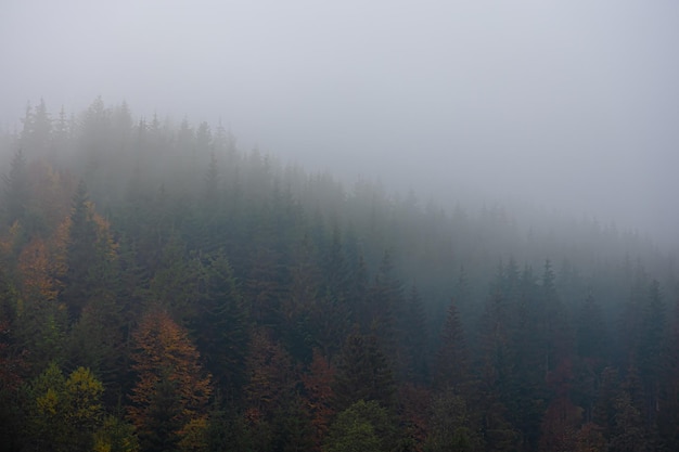 大海的儿童绘本
