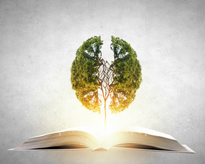 初一上地理南极洲的自然环境手抄报