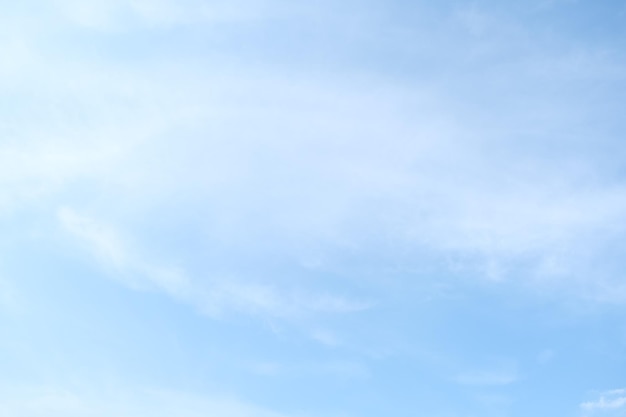 兔子用英语怎么说