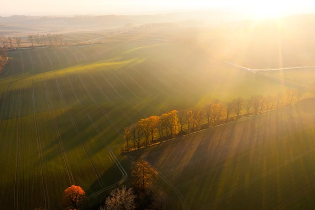 初一上地理南极洲的自然环境手抄报