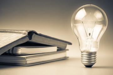 广东东莞可园简介